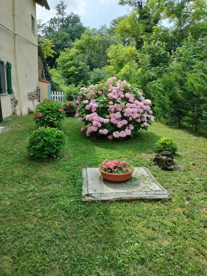 Casa Relax Immersa Nel Verde Della Natura 카살보르고네 외부 사진