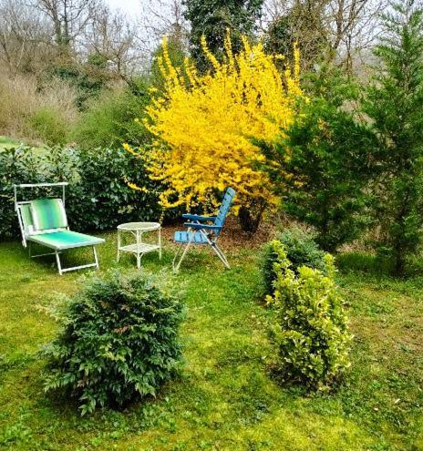 Casa Relax Immersa Nel Verde Della Natura 카살보르고네 외부 사진